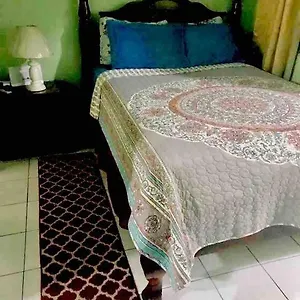 Apartment Dream, Kingston